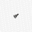 Genuine Nissan SR20 S13 / S14 Timing Chain Guide Bolt (Tension Side) - 13075-53J00