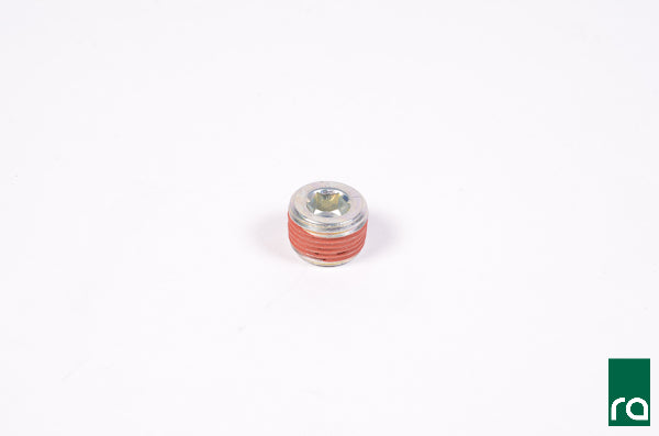 Radium Engineering 3/8 NPT Plug - 14-0173
