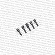 RB26DETT Intake Vacuum / Balance Tube Bolt Set of 5 - 16163-F6513