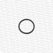 Genuine Nissan - R32 Fuel Tank Neck Seal - 17342-01L10
