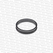 Genuine Nissan Fuel pump sender Unit Lock Plate Ring seal 17342-79900