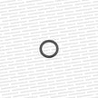 Genuine Toyota 1JZ & 2JZ VVTi Solenoid O Ring