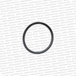 Genuine Toyota MK4 Supra Fuel Pump Sender Seal - 77169-14030