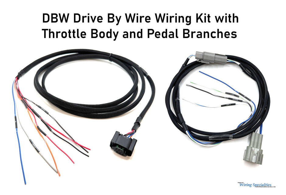 Wiring Specialties  Drive By Wire Wiring Kit with Bosch Throttle Body and 350Z Pedal Branches - WRS-DBW-SUB