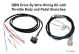 Wiring Specialties  Drive By Wire Wiring Kit with Bosch Throttle Body and 350Z Pedal Branches - WRS-DBW-SUB