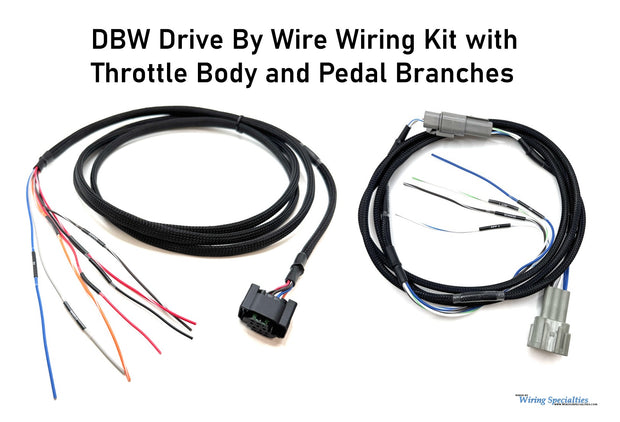 Wiring Specialties  Drive By Wire Wiring Kit with Bosch Throttle Body and 350Z Pedal Branches - WRS-DBW-SUB