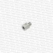 Male 1/8 BSPT to Female 1/8 NPT Adapter