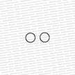 Genuine Toyota 2JZ GE  Water Pipe O Ring Set - 96761-24022 (2)