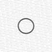Toyota 2JZ-GE Water Neck O-Ring Exhaust Side - 96761-24028