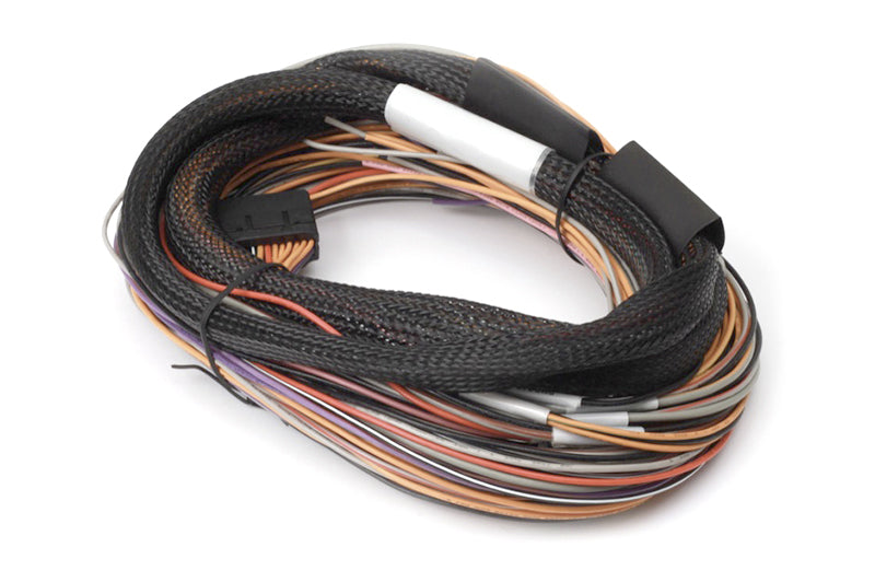 Haltech IO 12 Expander - 12 Channel with Flying Lead Harness Kit (CAN ID - Box B) - HT-059905