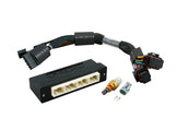 Haltech Elite 2500 Subaru Liberty/Legacy Gen 4 3.0R and GT Plug 'n' Play Adaptor Harness Kit - HT-141356