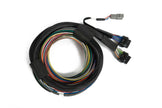 Haltech Nexus S3 / S2 Universal Wire-In Harness - 2.5m (8') - HT-182200