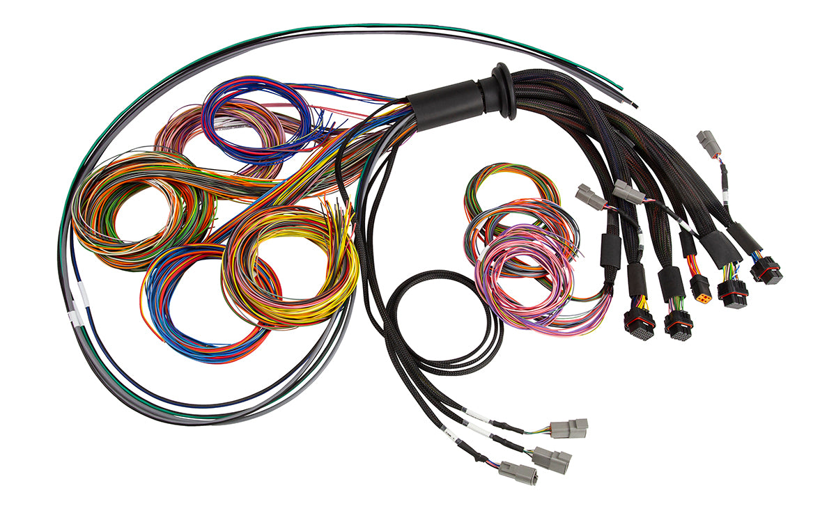 Haltech NEXUS R5 Universal Wire-In harness - 2.5m (8') - HT-185200