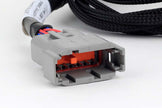 Haltech Nexus Universal V8 - GT150 (USCAR) Injector Primary Breakout - HT-186002