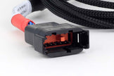 Haltech Nexus Universal V8 - GT150 (USCAR) Injector Secondary Breakout - HT-186003