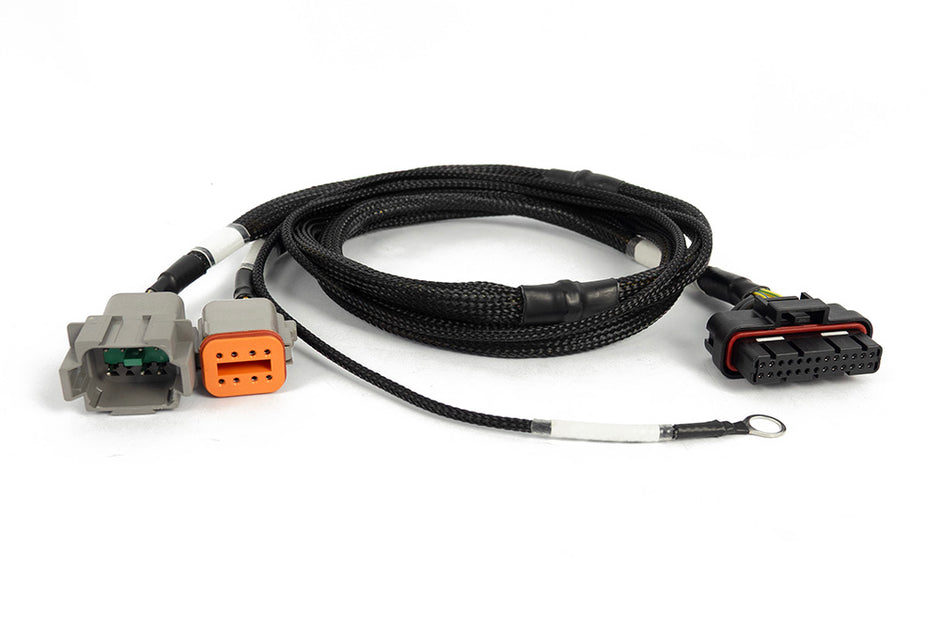 Haltech Nexus 6 Cylinder Igniter Adapter Harness - HT-186069