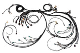 Haltech Nexus R5 LSx DBW Terminated Harness - DBW ready - HT-186205