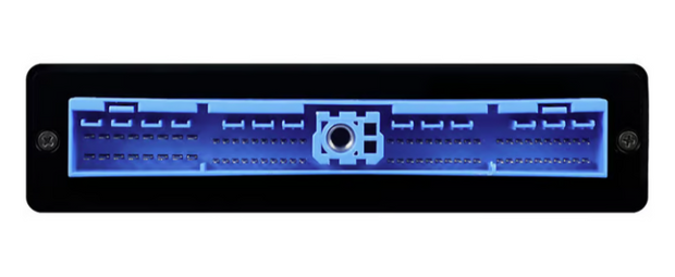 Haltech Nexus S3 Plug 'n' Play Adapter Harness Nissan Skyline R32/R33/R34 GT-R - HT-186362