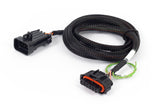 Haltech Nexus Rebel LS - Bosch Pedal Adaptor - HT-186512