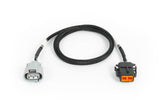 Haltech Nexus Rebel JZ - R154 Transmission Harness - HT-187005