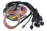 Haltech Nexus R5 VCU + Universal Wire-in Harness Kit - 2.5m (8') - HT-195200