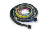 Haltech Nexus S2 ECU + Universal Wire-in Harness Kit - 2.5m (8') - HT-212200