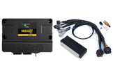 Haltech Nexus S2 Plug 'n' Play Adapter Harness Kit - Honda DC5 - HT-212301