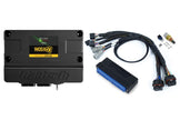 Haltech Nexus S3 Plug 'n' Play Adapter Harness Kit - Nissan Skyline R32/R33/R34 GT-R - HT-213320