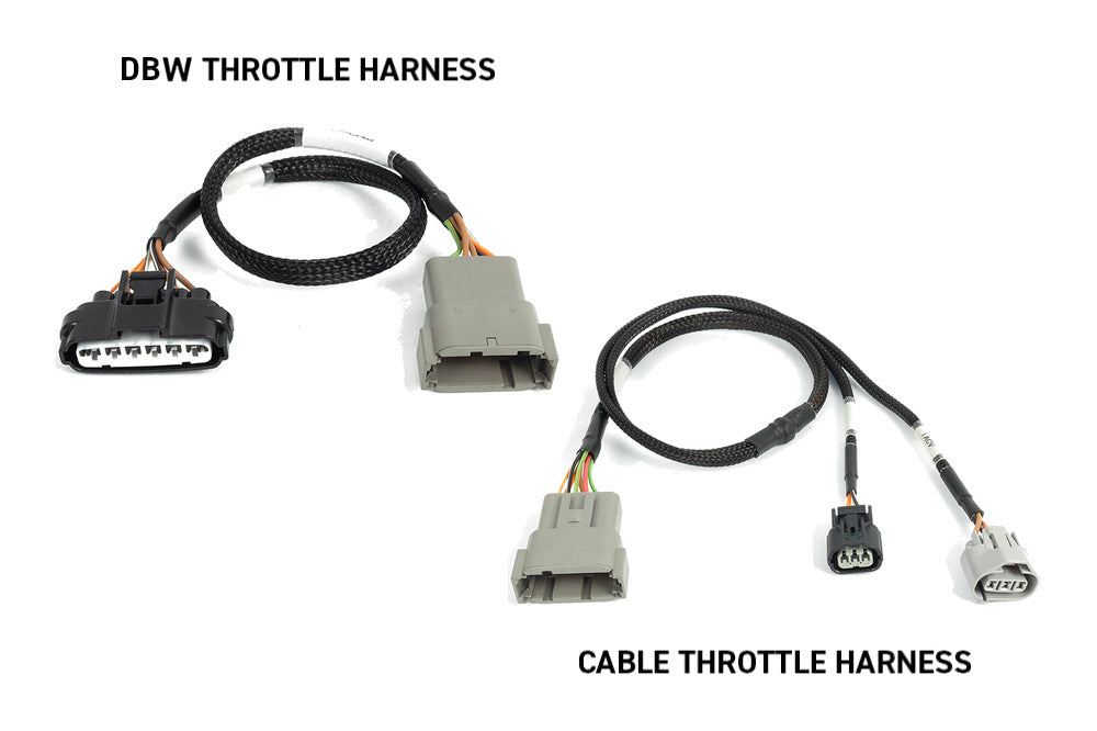 Haltech Nexus Rebel K ECU & Harness Kit - Honda K-Series - HT-220206 - view 4