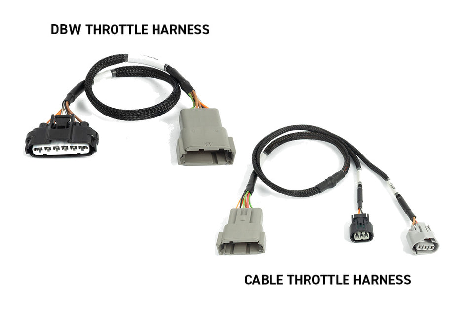 Haltech Nexus Rebel K ECU & Harness Kit - Honda K-Series - HT-220206 - view 4
