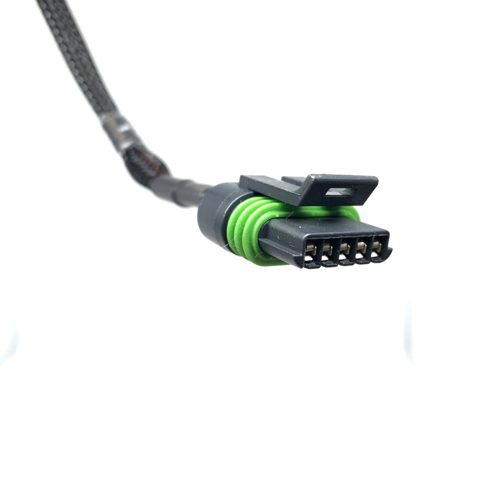 Wiring Specialties AEM IGN1A Smart Coil Connector - WRS-IGN1A-CON