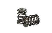 Kelford Honda B16A / B18C VTEC Dual Valve Springs - KVS18