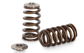 Kelford Nissan RB25DET NEO Beehive Spring Set KVS25NEO