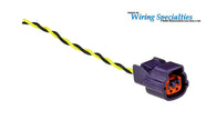 Wiring Specialties RB25 Idle Air Connector (IAC), Purple - RB25-IDL-RB