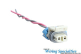 Wiring Specialties LS1 / LS6 CAGS Skip Shift Connector - WRS-LS1CAGS
