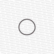 TiAL Sport Q/QR BOV Flange O-Ring 001628