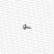 Genuine Nissan Skyline R32 GTR / GTST Corner Light Mounting Screw - 08510-4125C