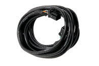 Haltech CAN Cable 8 Pin Black Tyco to 8 Pin Black Tyco 3600mm (144in)