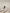Genuine Nissan RB26DETT PCV Valve 11810-05U00