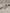 Genuine Nissan OEM Front Tension Rod - Nissan Skyline R32 R33 GT-R R32 GTS4. 54468-05U00, 54469-05U00