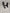 Genuine Nissan Skyline R34 Skyline Center Dash Lower Panel 68104-AA001