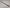 Genuine Nissan R34 2 Door Exterior Belt Moldings - 80820-AA110 / 80821-AA110