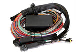 Haltech Elite 2500/2500 T Premium Universal Wire-In Harness - 2.5m (8ft) - Boost Factory