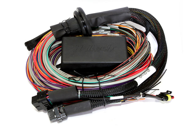 Haltech Elite 2500/2500 T Premium Universal Wire-In Harness - 2.5m (8ft) - Boost Factory