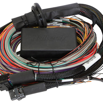 Haltech Elite 1500 Premium Universal Wire-In Harness - 2.5m (8ft) - Boost Factory