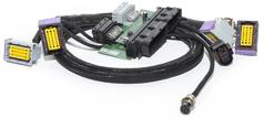  ECUMaster USA-ECUMaster USA