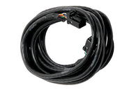 Haltech CAN Cable 8 Pin Black Tyco to 8 Pin Black Tyco 3000mm (120in)